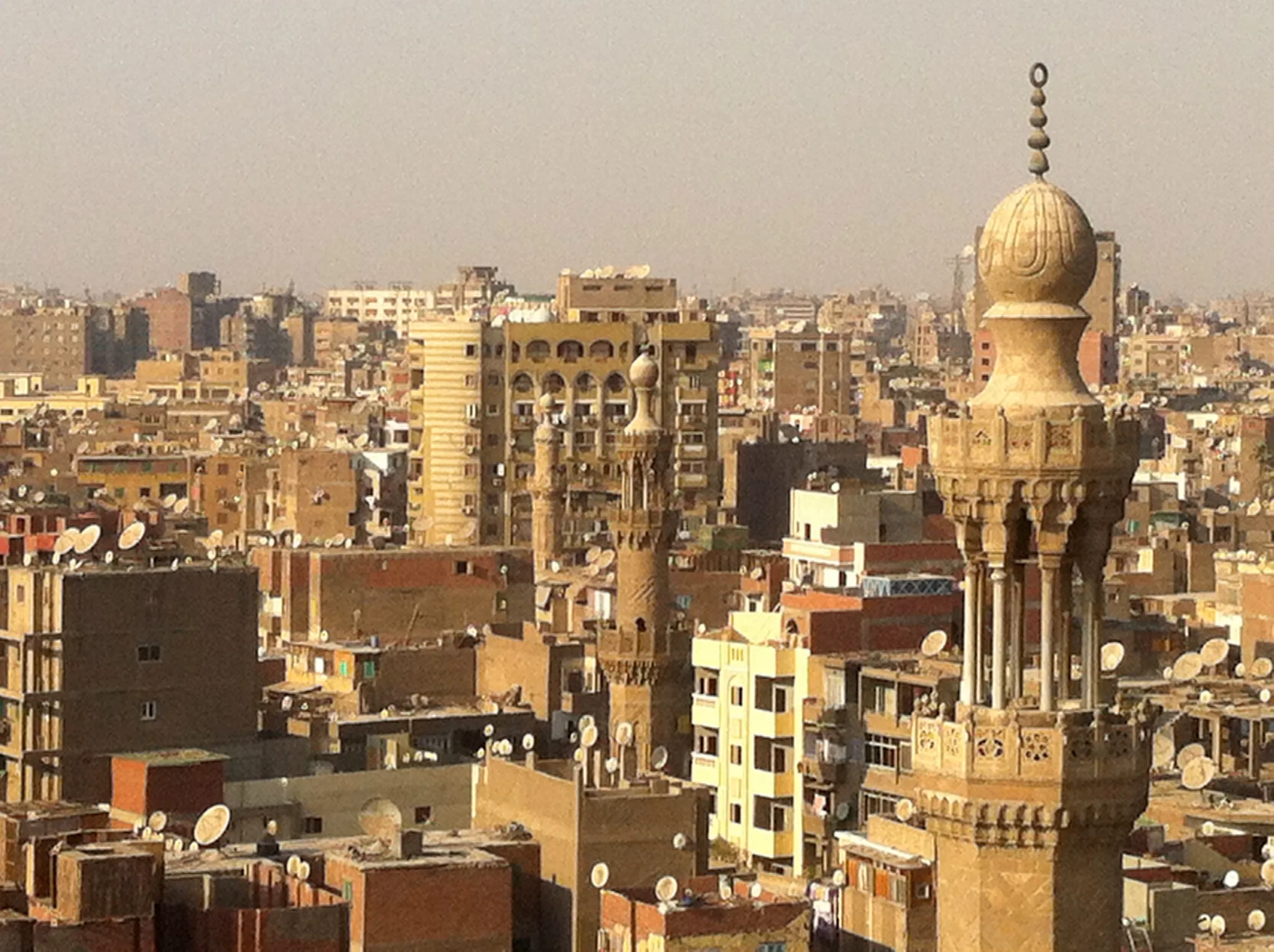 Democratic Universities in Egypt