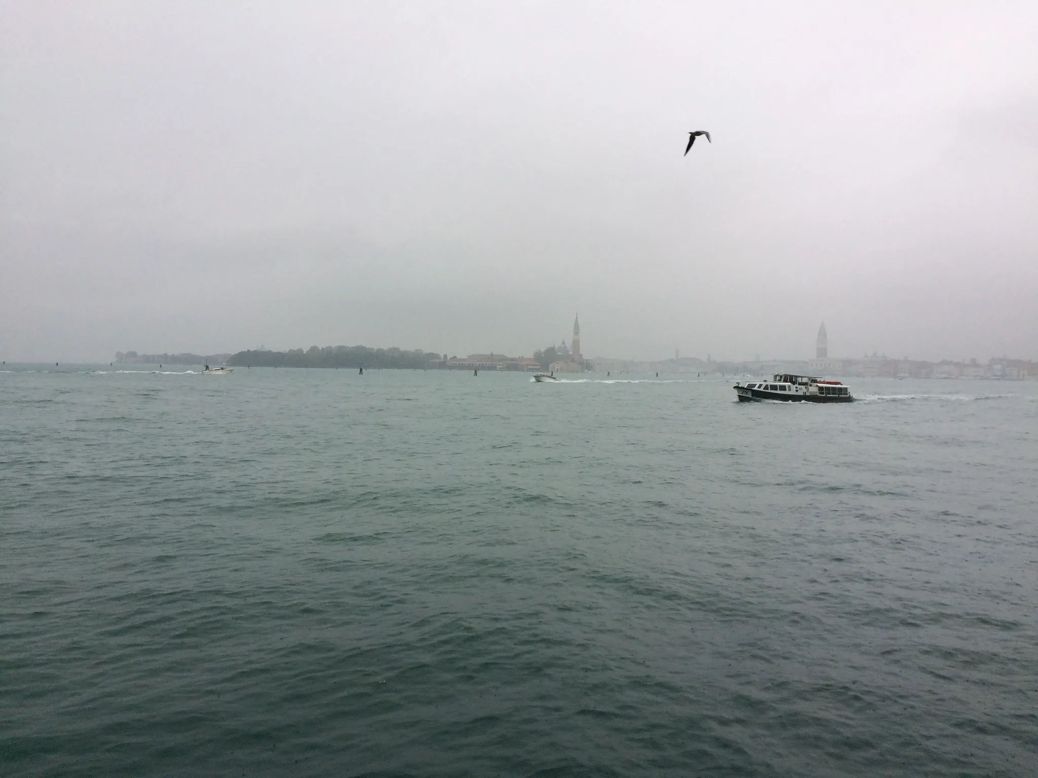 Freespace Venice